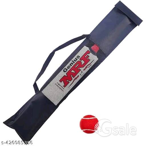 Popular willow cricket bat(wood)