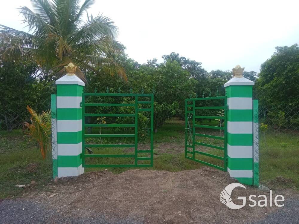 Luxury Farm land sale 