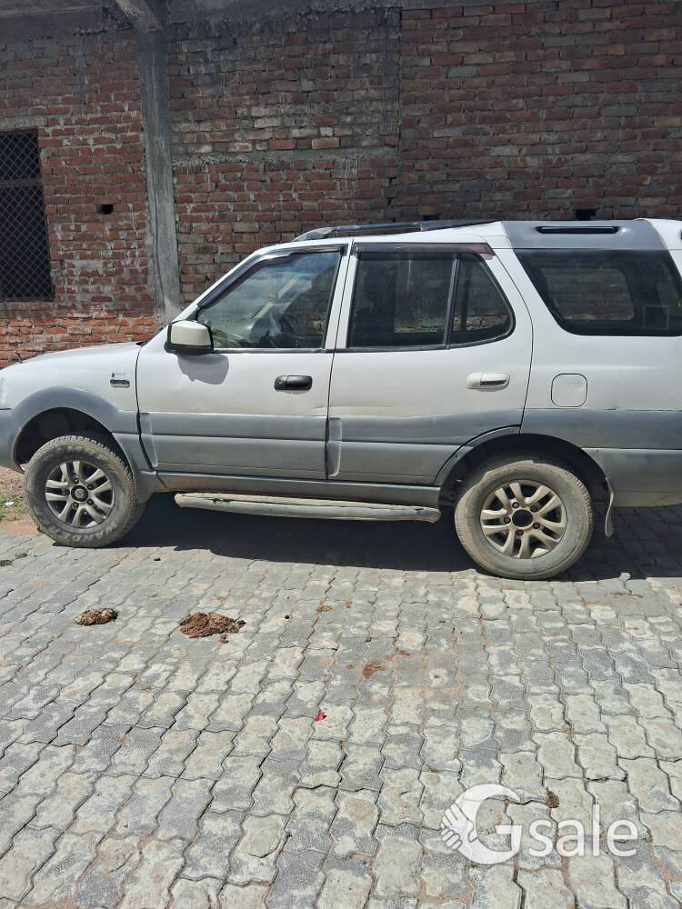Tata safari decor