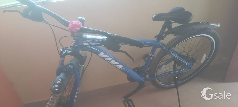viva 21 gear speed cycle 
