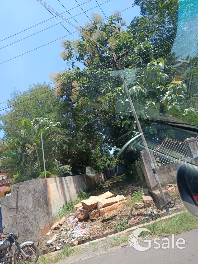 77cent land sale