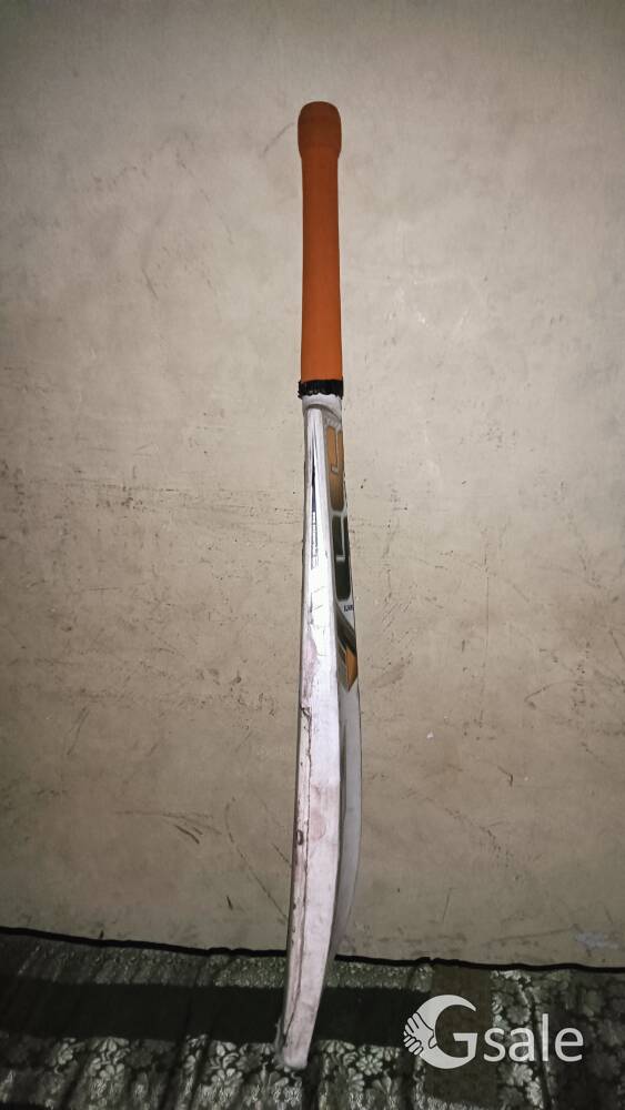 SS english willow bat 