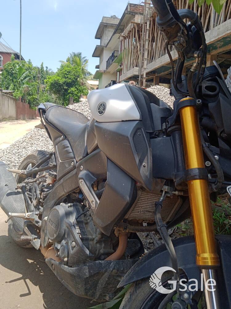 Mt 15 model 2022