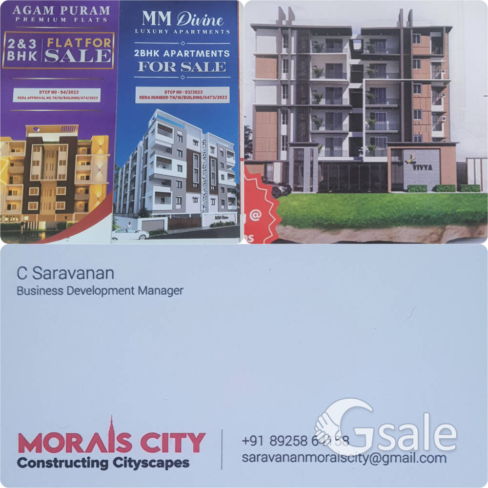 MORAIS INTERNATIONAL BIZ PARK 