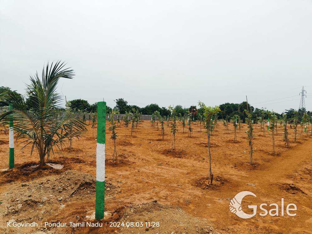 Red sandal form land saleMaduranthagam to ECR connecting rood, kalppattu village Contact:9994167621