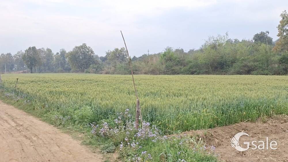 kheti ki Jamin 