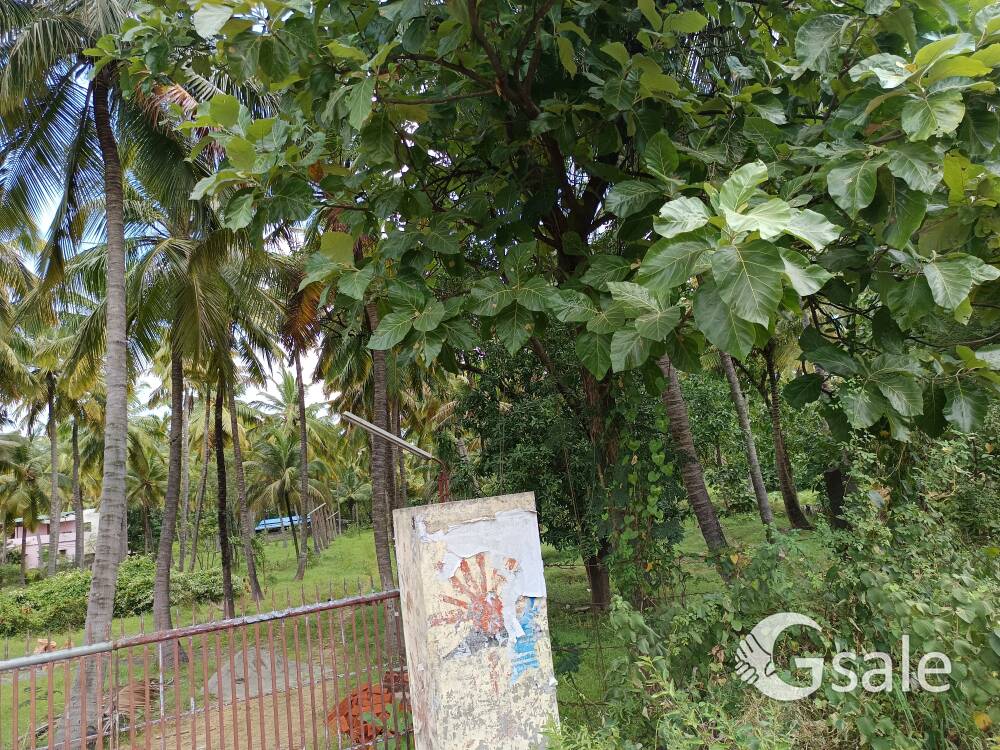 3.25 acre land
