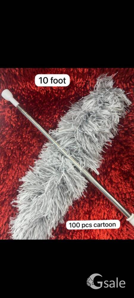 ceiling cleaner