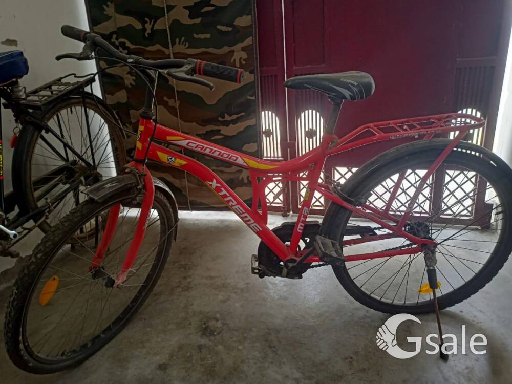 new branded cycle 