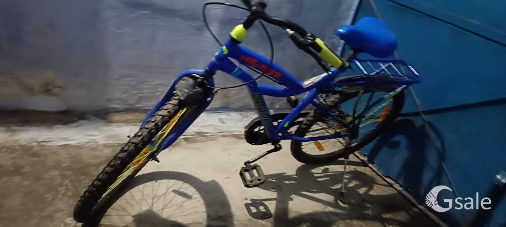 cycle brand parrot 