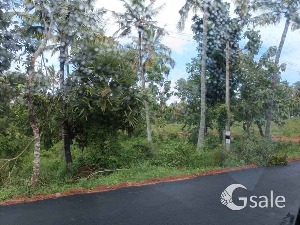 12acre land 