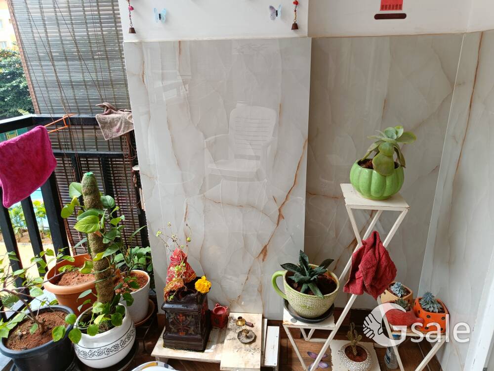 Old Flower pots available for sell
