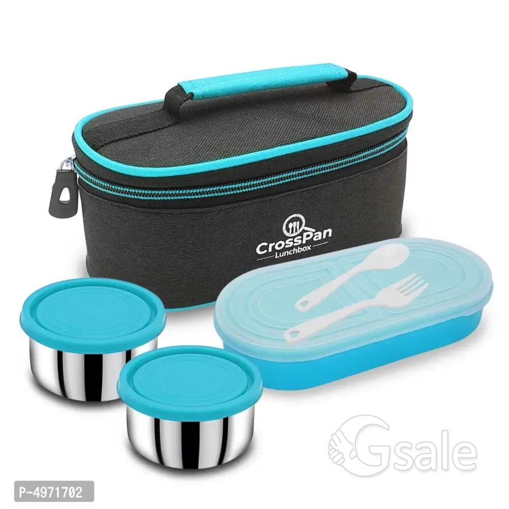 Double Decker Executive Lunch Tiffin Box 2 Ss container 