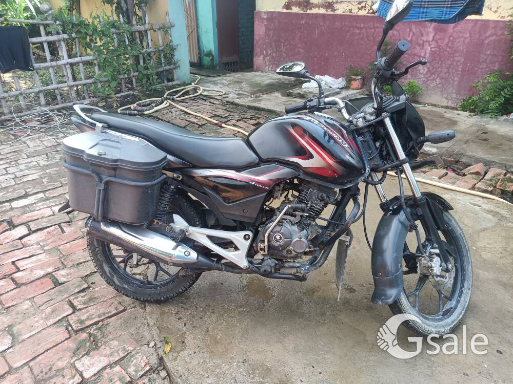 Discover 100 m model