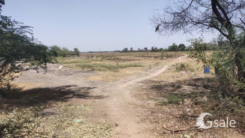 Jublice plots