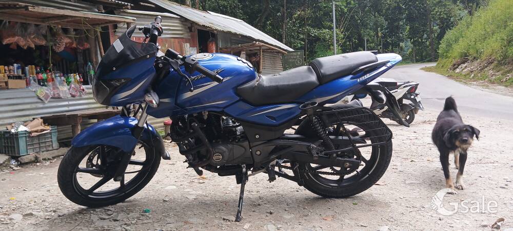 pulsar 180  model 2018