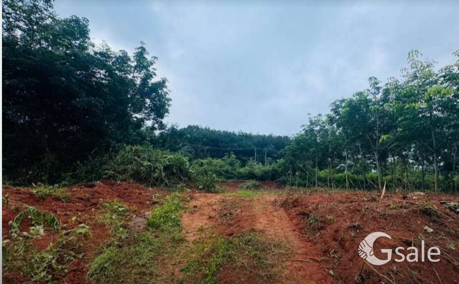 1.5acre land