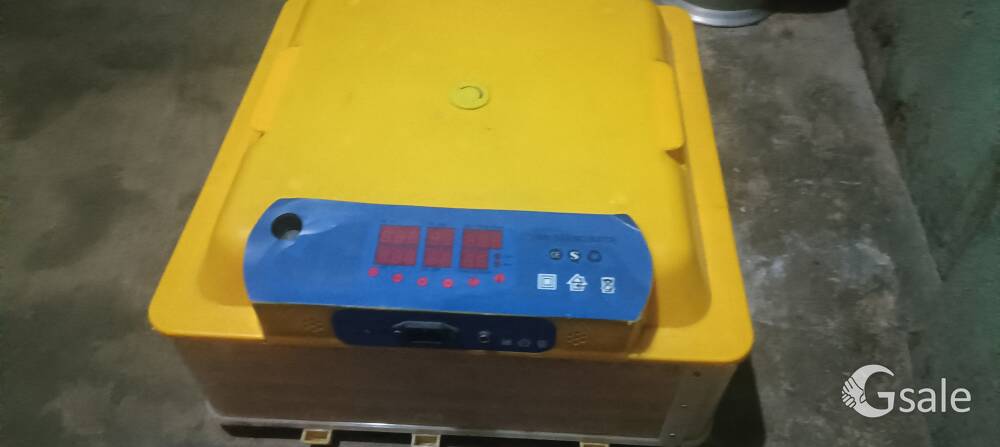 egg incubator 
