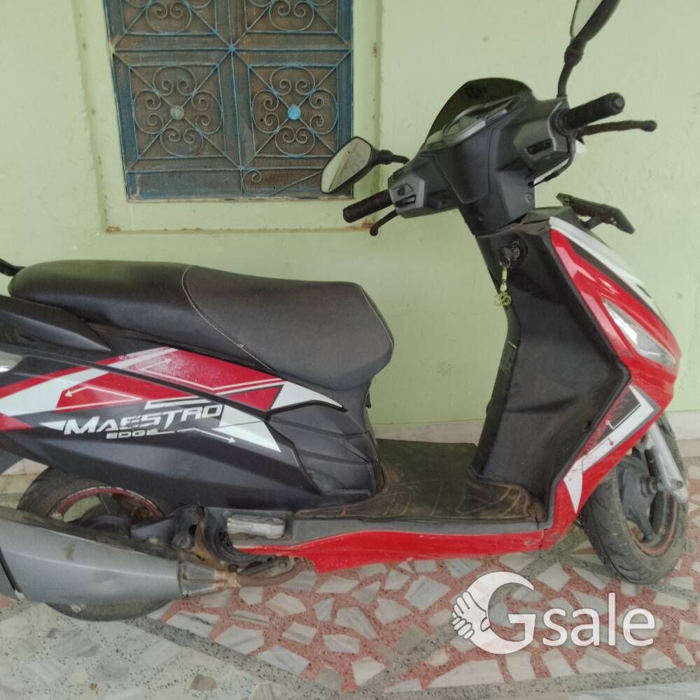 scootey 2017