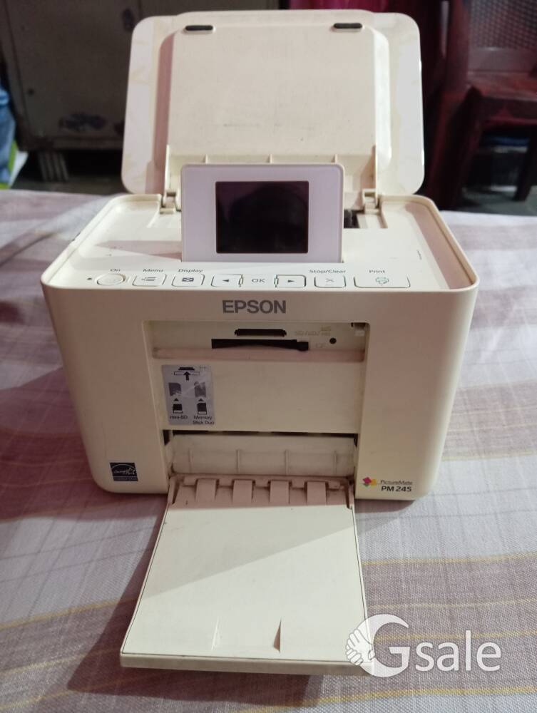Epson picture mate 245
