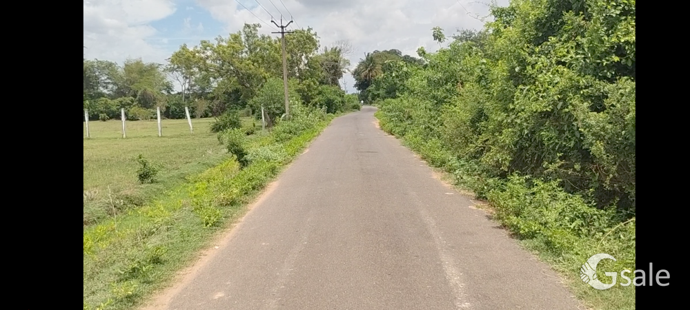 PER SQ.FT 475 DTCP APPROVED PLOT SALE THANJAVUR IN GANAM NAGAR BUS STOP CUT ROAD 4/KM