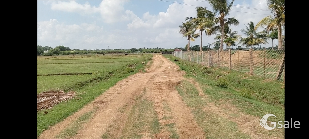 PER SQ.FT 300 AREA 40000 NANJAI LAND SALE THANJAVUR IN REDDYPALAYAM