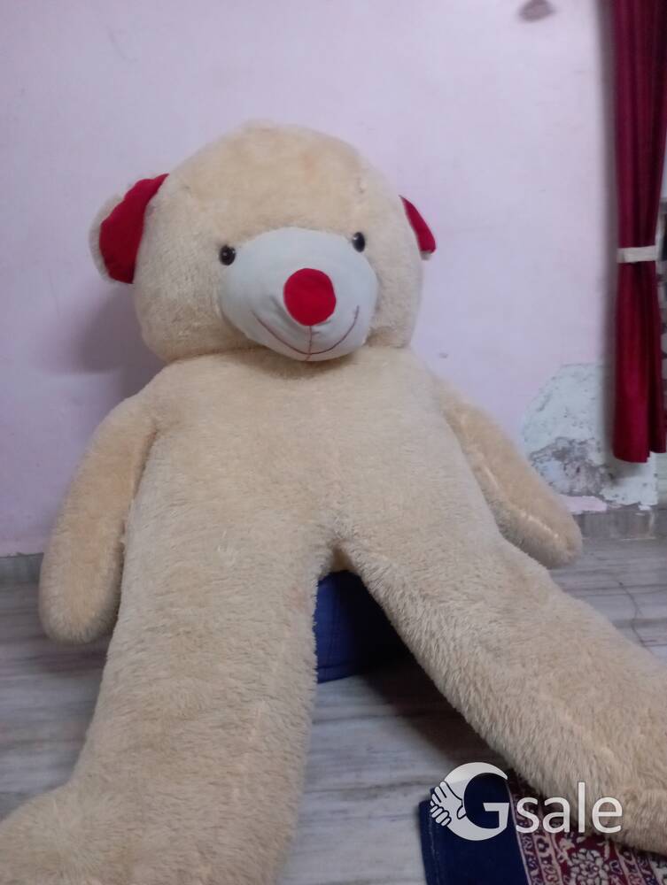 teddy bear 