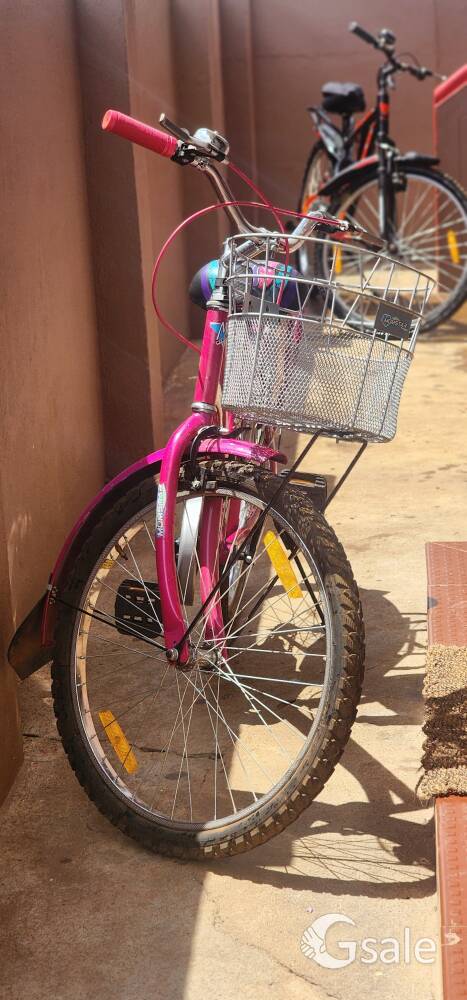 Momstar Flonia new model bycycle 