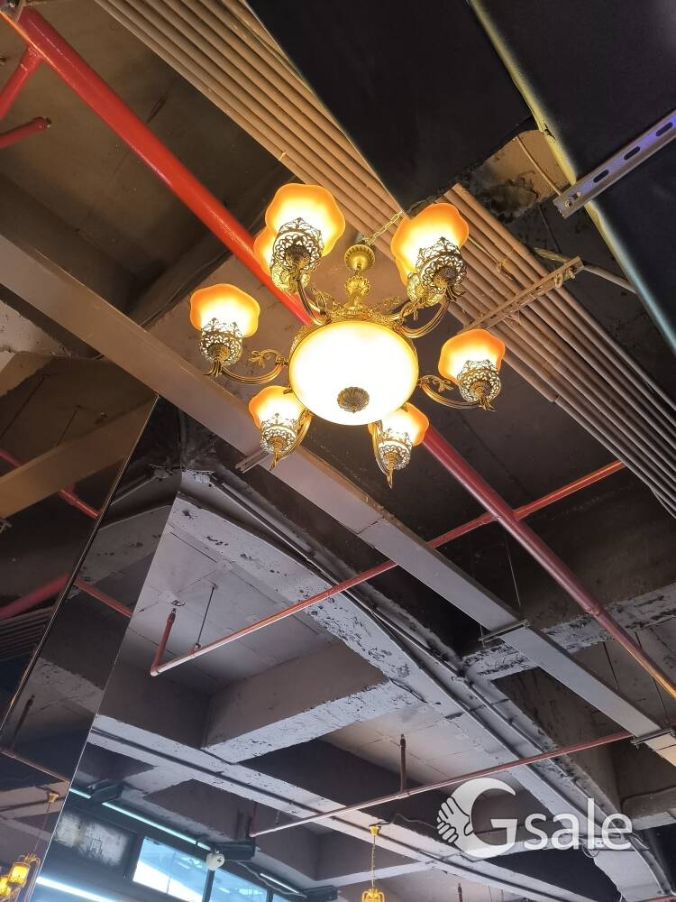 Electrician Raj 