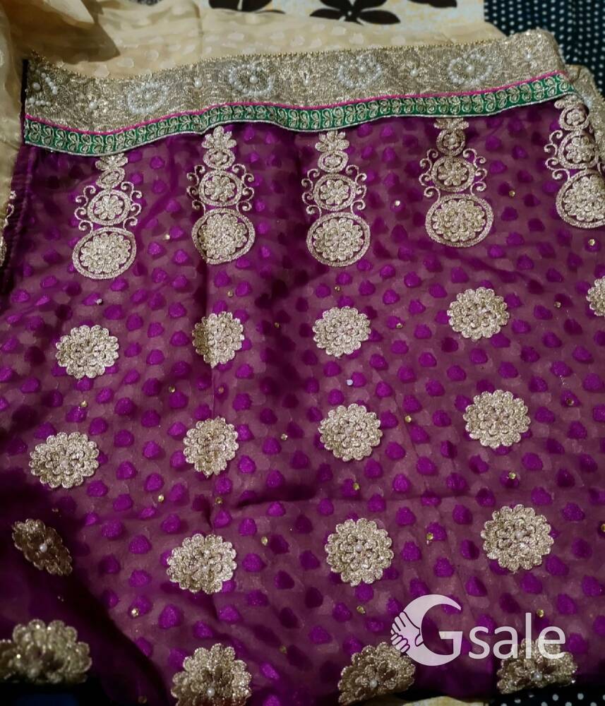 * women beautiful saaree 