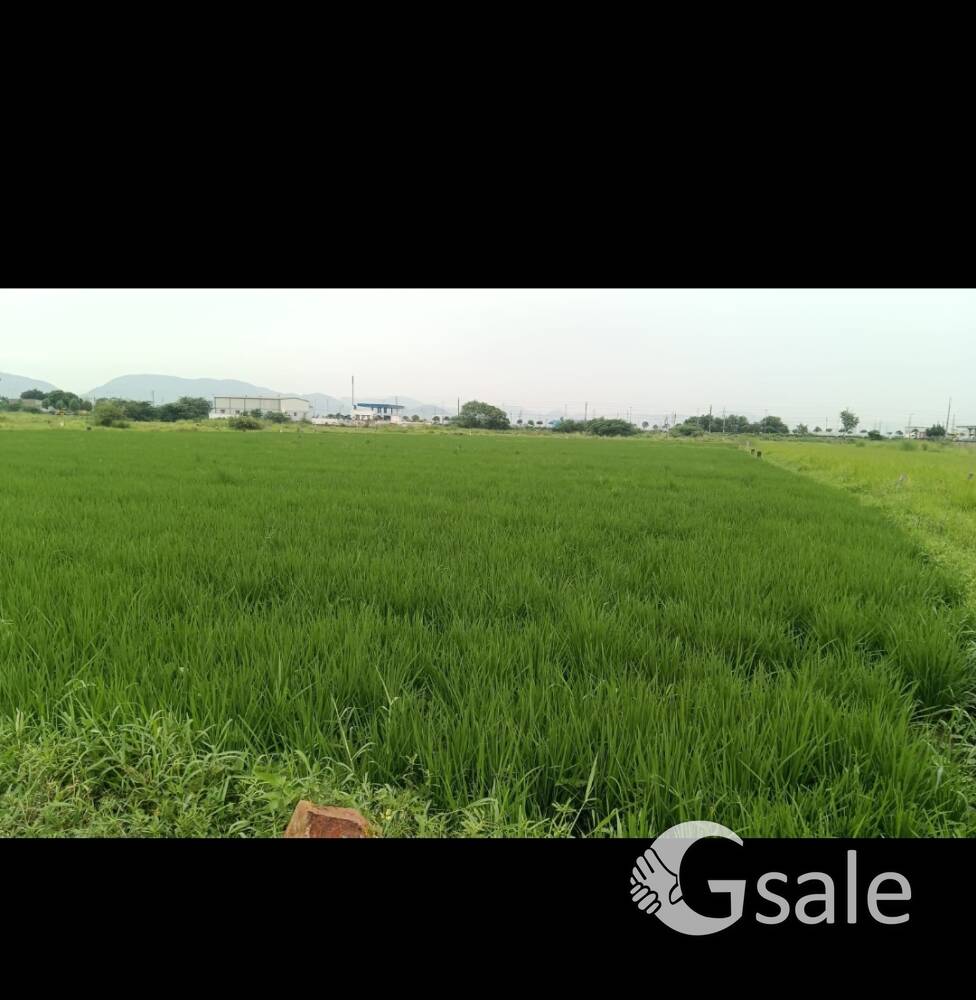 agriculture land 