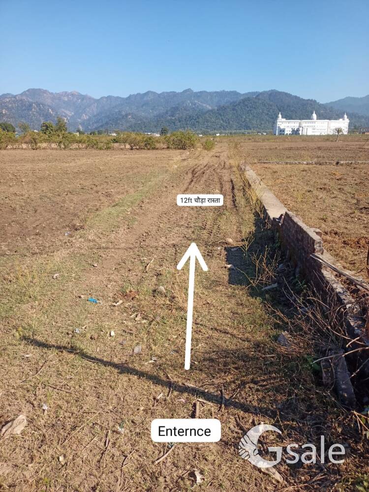 plot sale 
