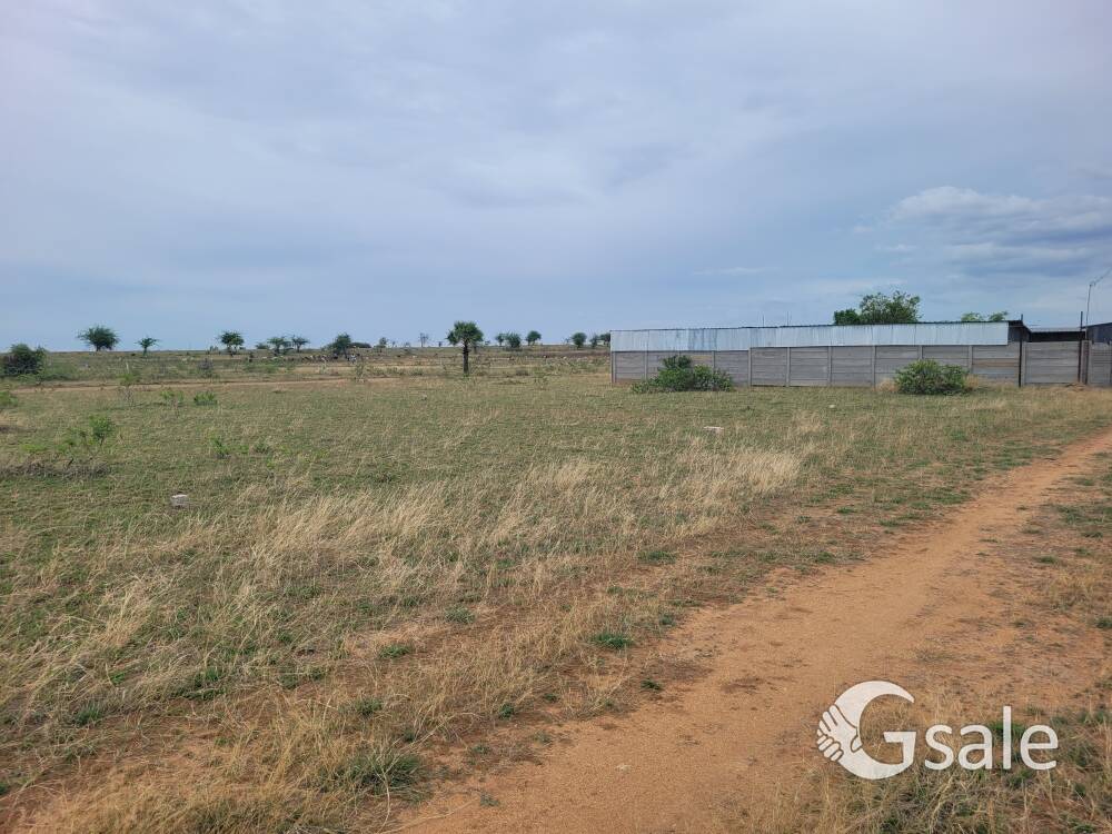 Plot for Investment within 7 kms from new busstand
