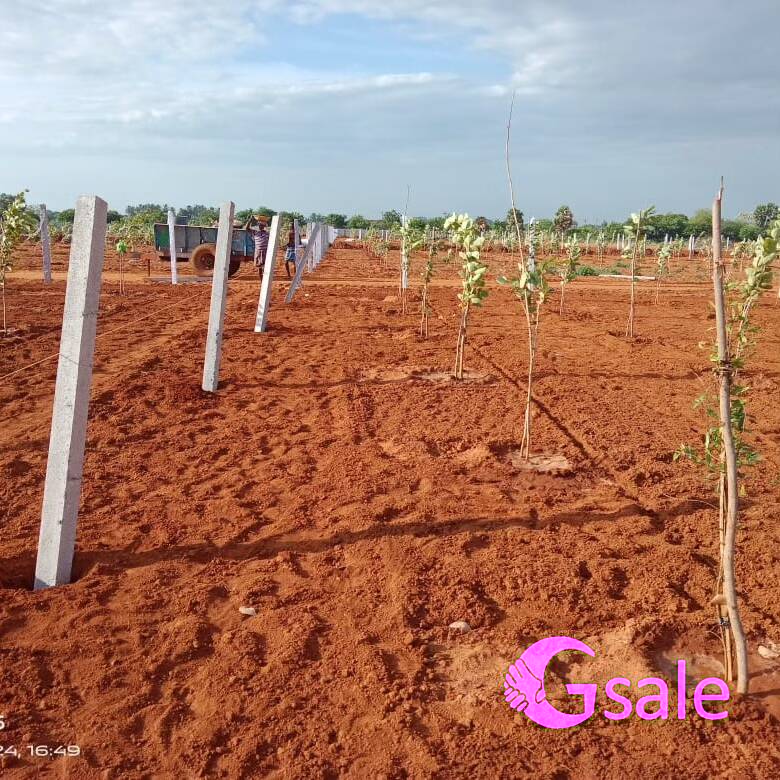 kg green India properties 