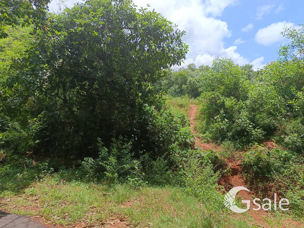 land sale 1acre