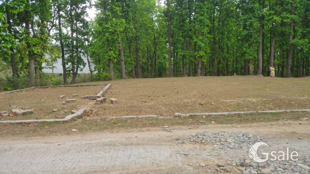 PG/Hostel Plots