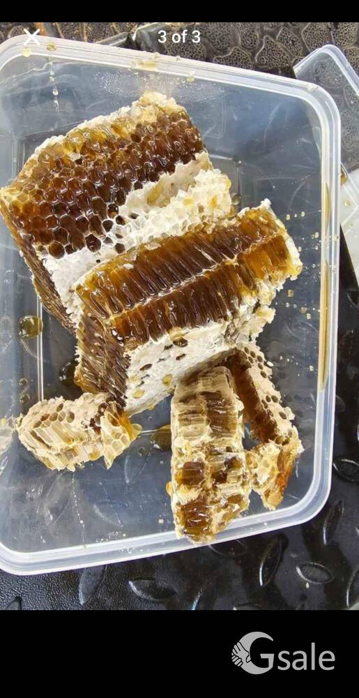 WILD HONEY