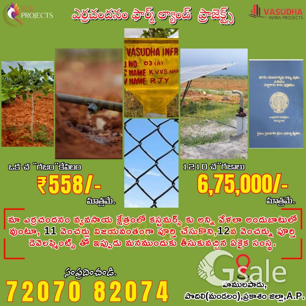 Red sandal farmland projects
