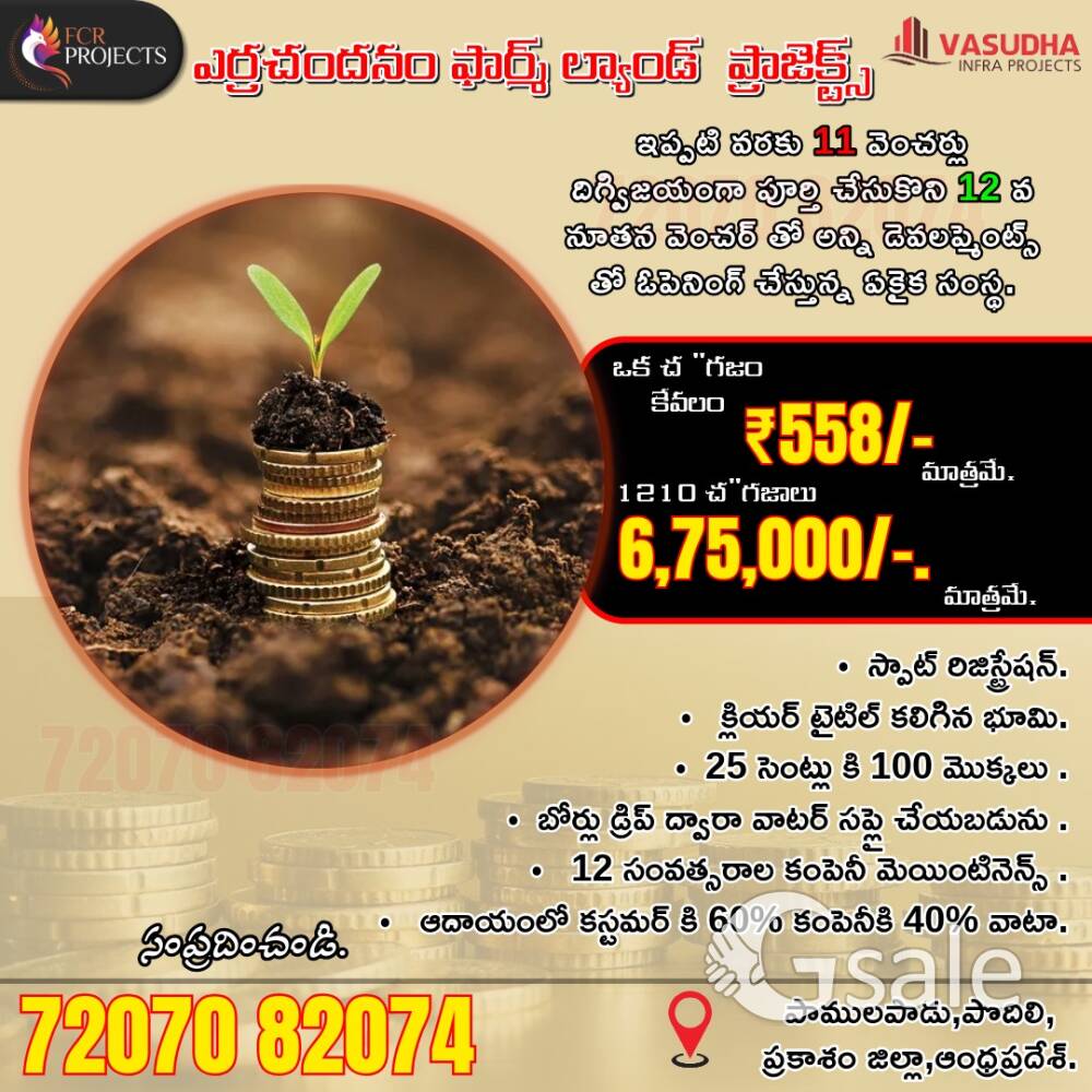 Red sandal farmland projects