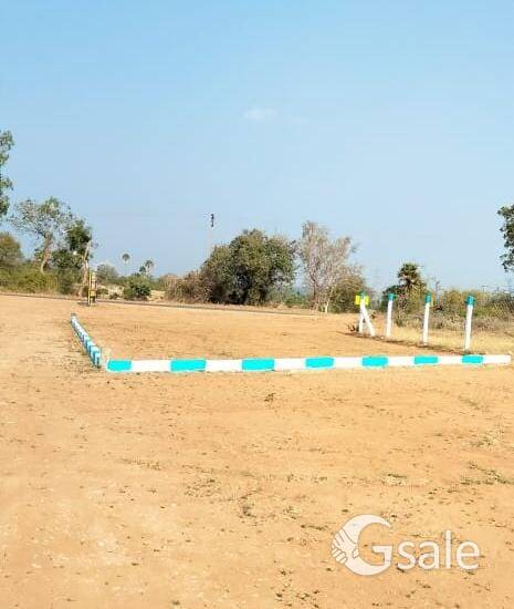 குறைந்த விலையில் அழகிய வீட்டு மனை விற்பனைக்கு 