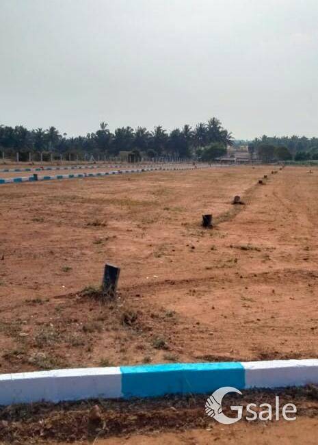 கிணத்துக்கடவு குறைந்த விலையில் அழகிய வீட்டு மனை விற்பனைக்கு 