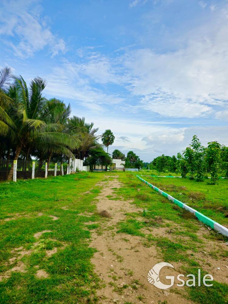 teak park 