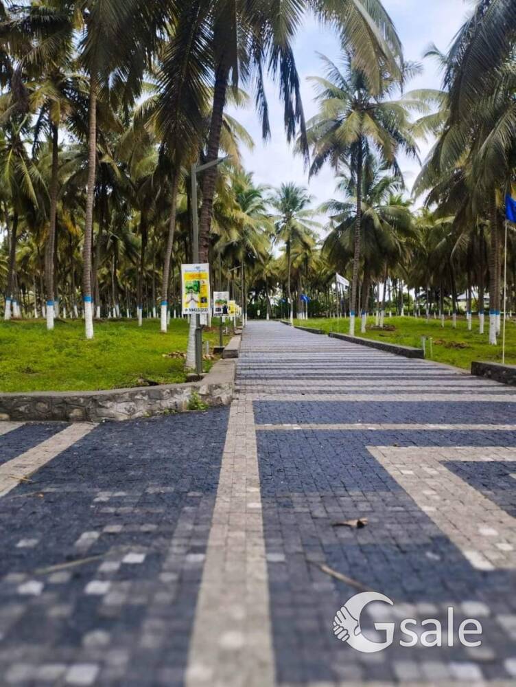 CoCo Bae Farms