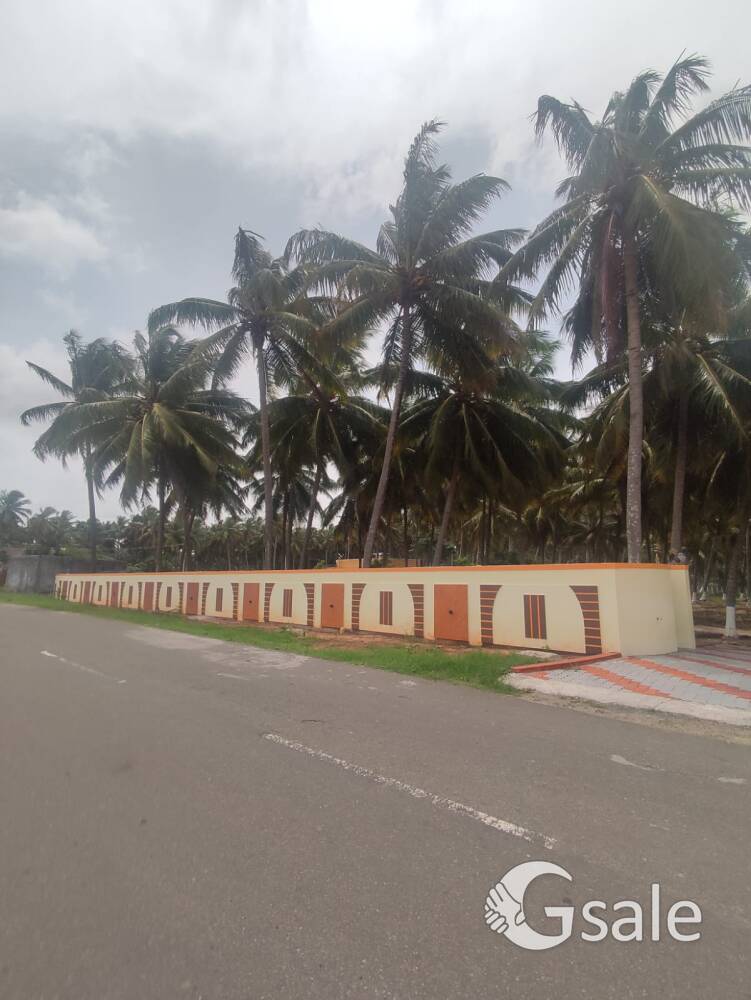 😍💚பொள்ளாச்சி நெகமம் அருகே அழகிய 🌴🌴தென்னந்தோப்பு விற்பனைக்கு💯💥