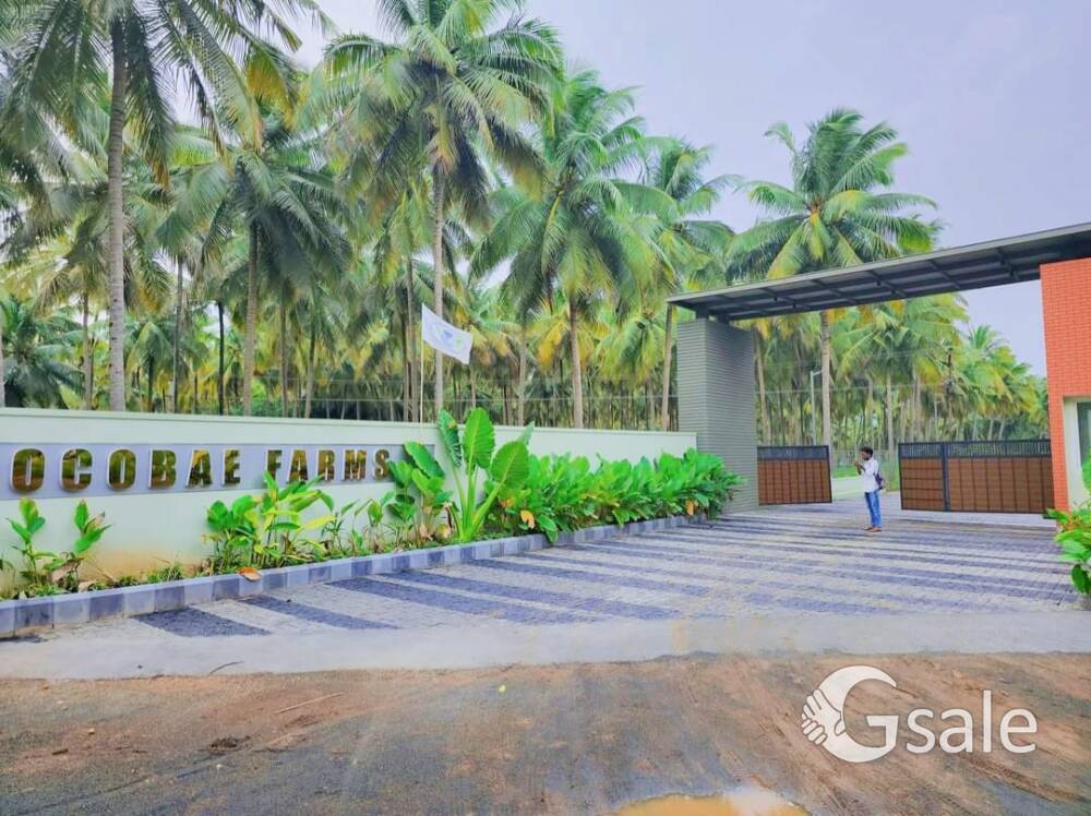 Luxurious Farm House Property Sales Madukkarai Nachipalayam 