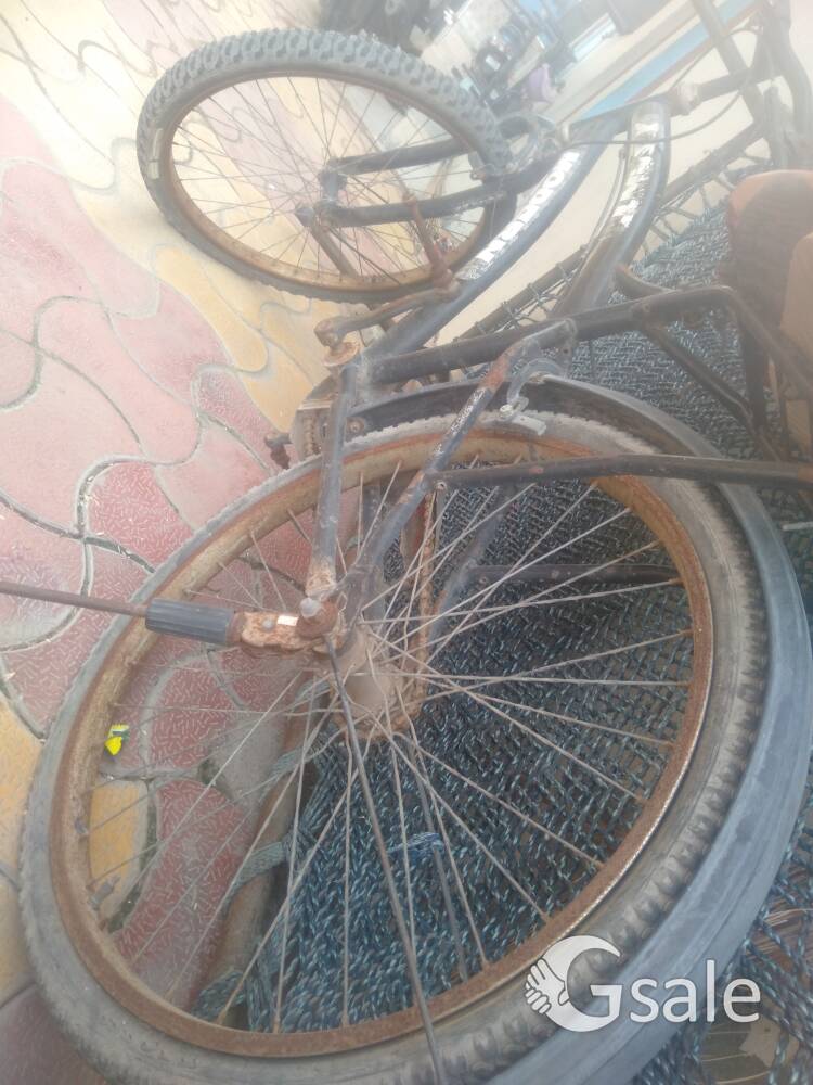 8980467324