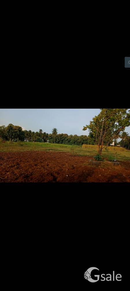 land sale in salem contact number:8838009241