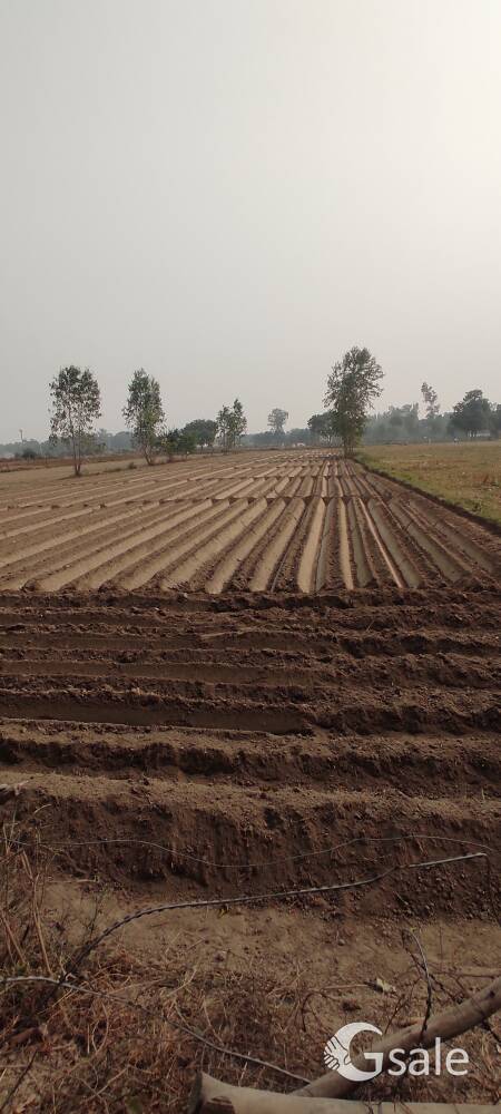 I am selling my land which is 17 bissa  in Nagar Panchayat Derwa