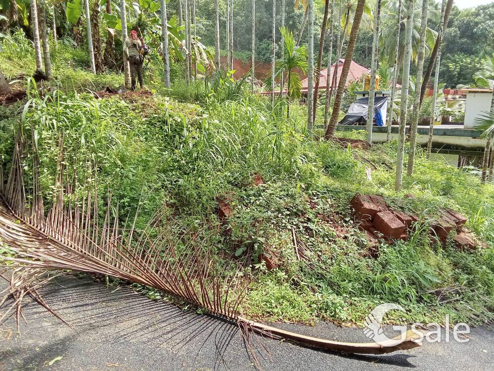 house plot for sale 