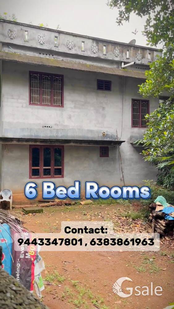 Urgent Sale ‼️ House for sale 